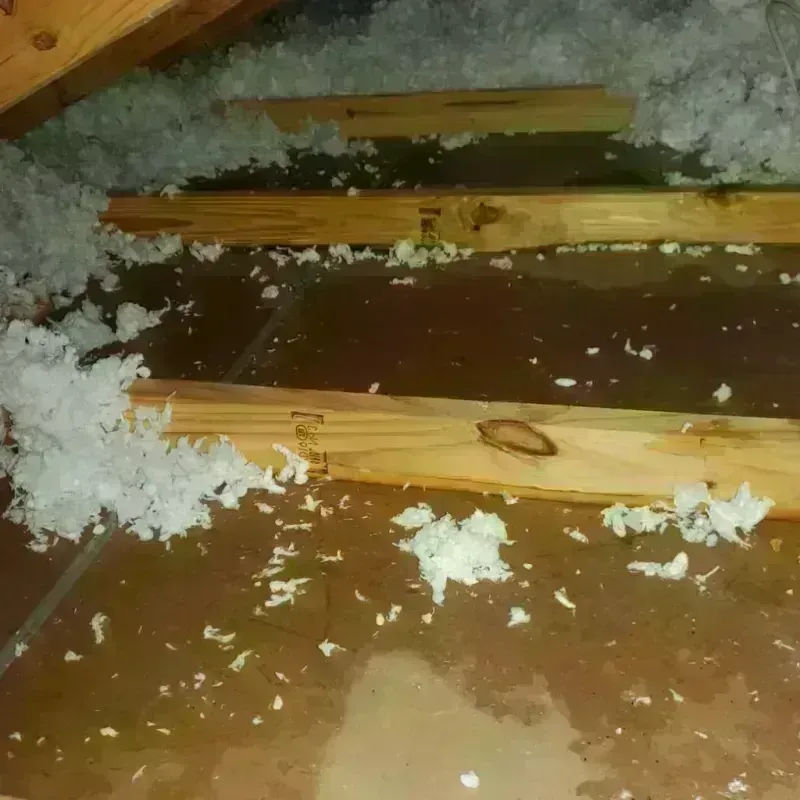 Attic Water Damage in Cohoe, AK