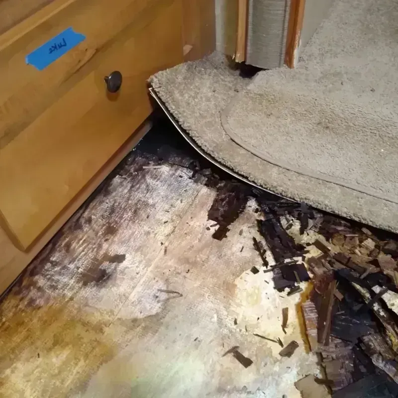 Wood Floor Water Damage in Cohoe, AK